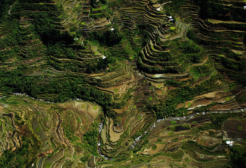 This image has an empty alt attribute; its file name is banaue_rice_terraces.jpg